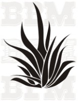 /album/kvety-stromy/kvety-3-jpg/